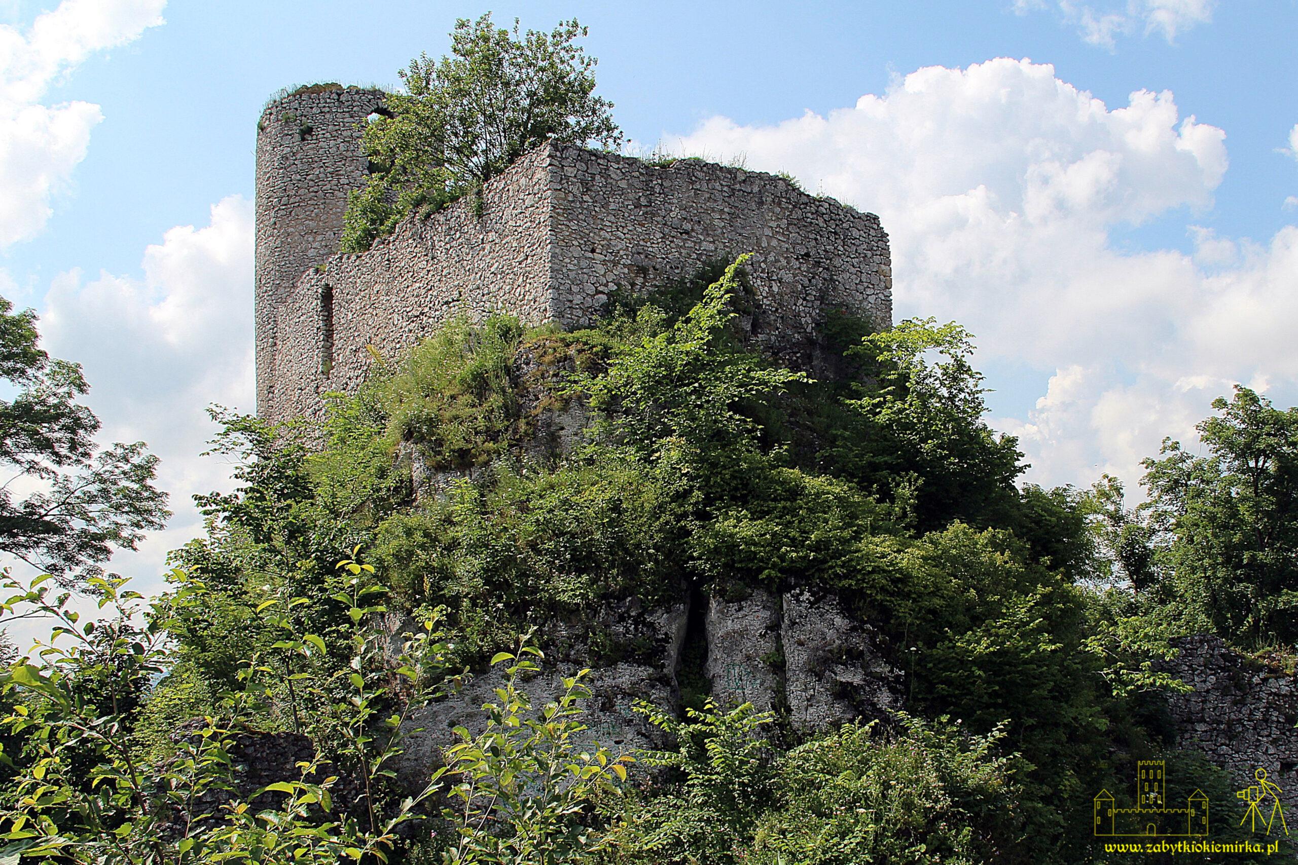 SMOLEŃ – ZAMEK PILCZA