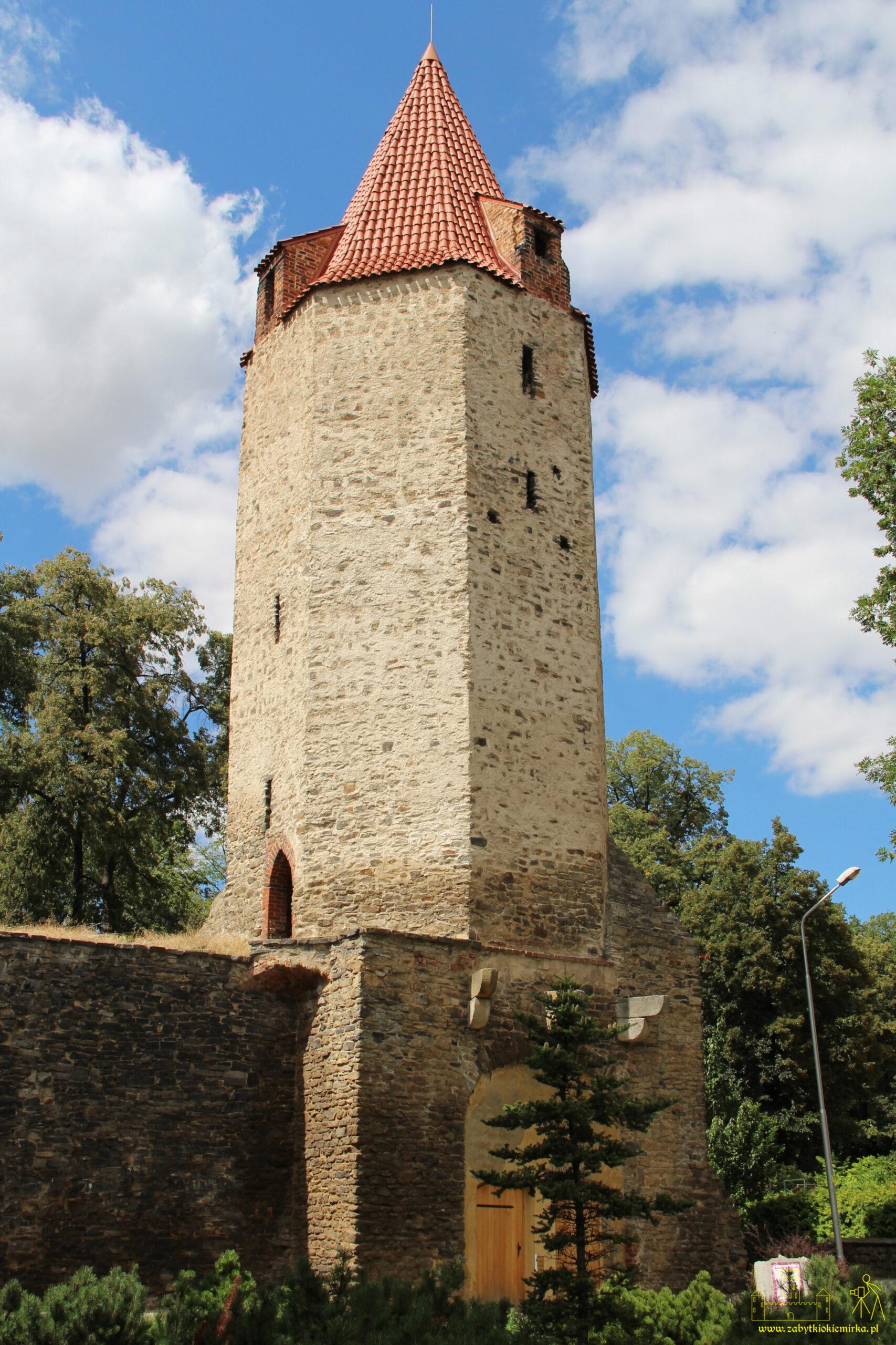 STRZEGOM – BASZTA DZIOBOWA